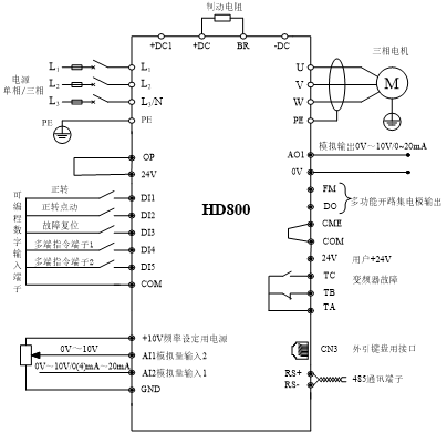 HD800-1